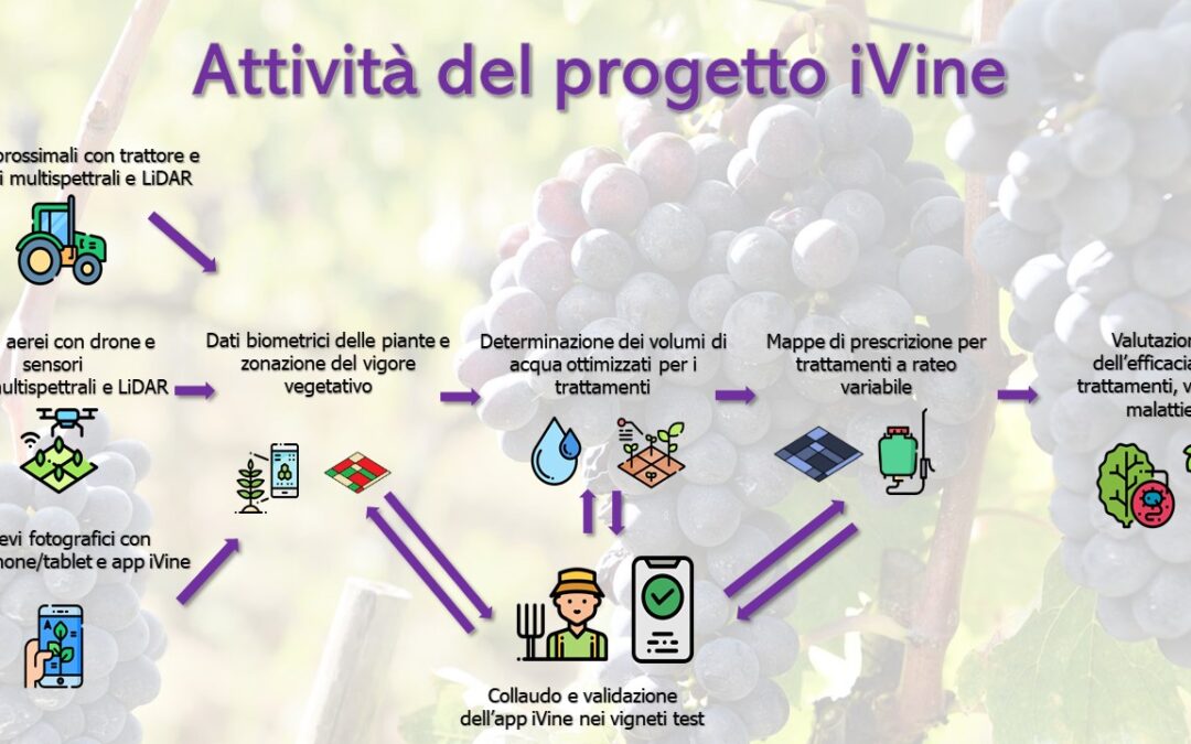 iVine, il progetto per ottimizzare i trattamenti nei vigneti toscani