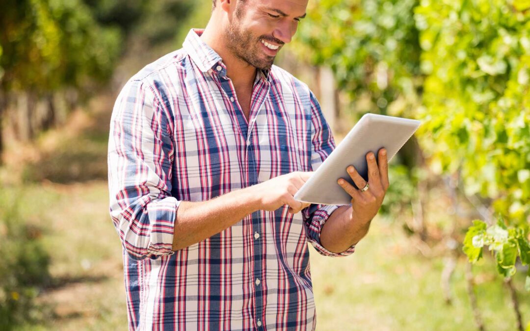 Trattamenti in vigneto, risparmi e precisione grazie allo smartphone. Il progetto iVine su Agronotizie